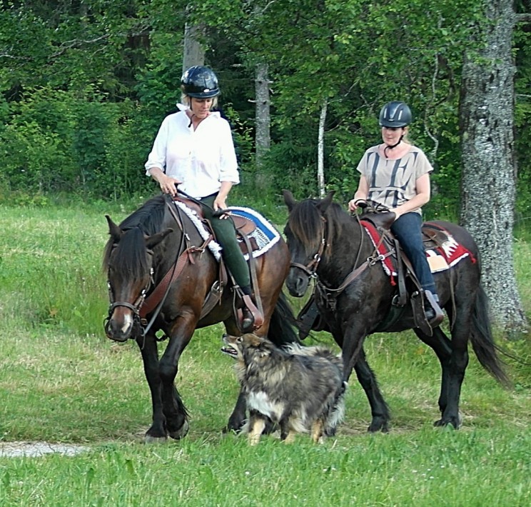 ridgäster på tur med våra hästar Myrmin och Svarten.